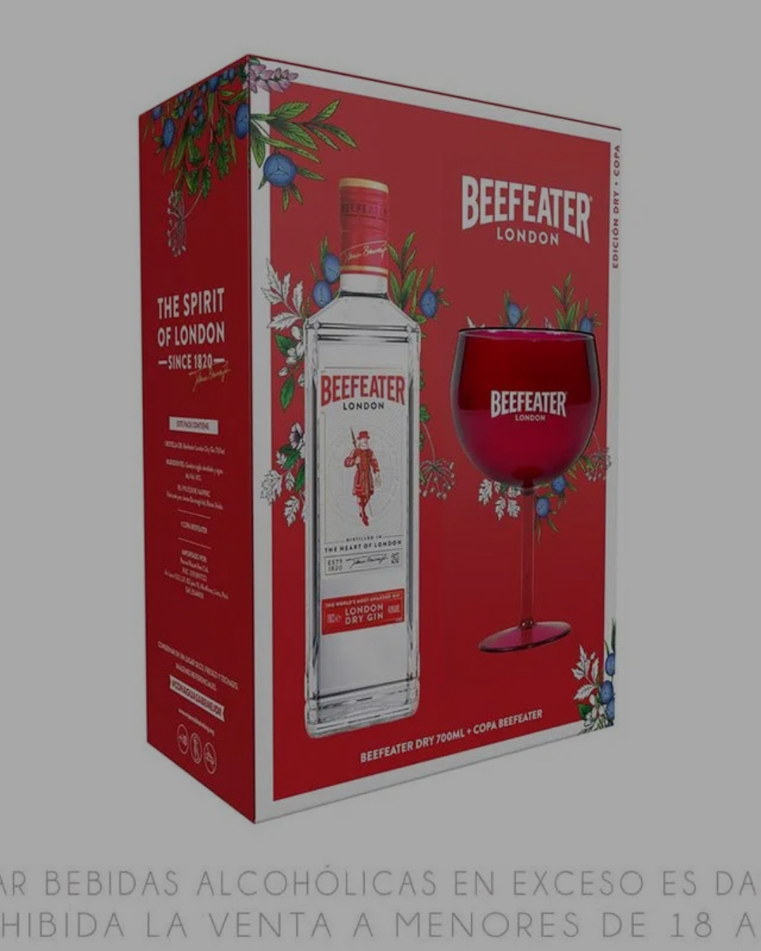 PACK GIN para 30 personas